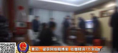 成都赌博爆料事件视频,视频揭露惊人内幕 第3张 成都赌博爆料事件视频,视频揭露惊人内幕 第3张